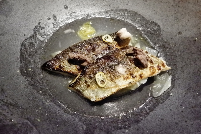 北海道サンマ炙り焼き、発行キャベツ、冬瓜